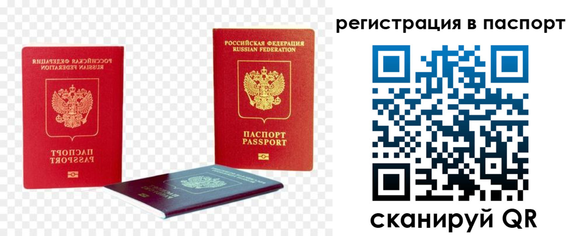 прописка от собственника в Александровске