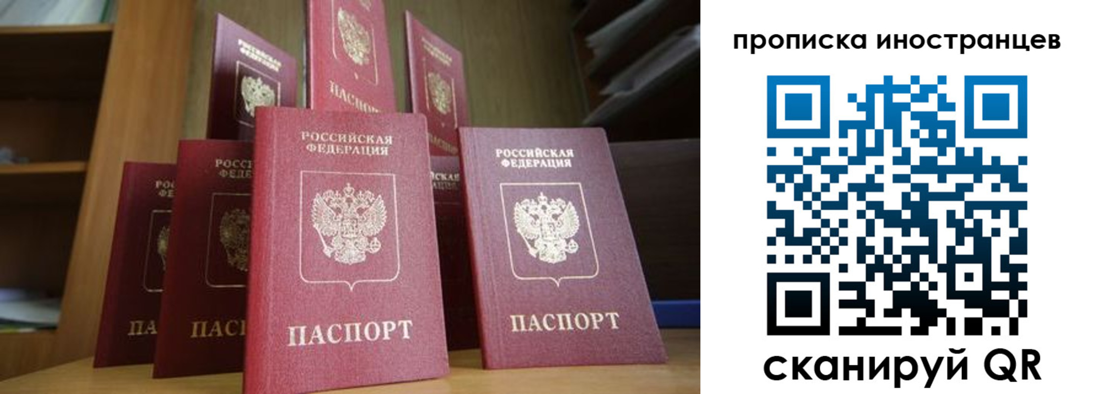 временная прописка в Александровске
